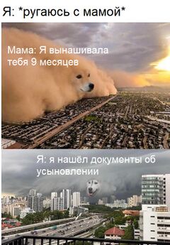 Пёс - песчаная буря meme #3