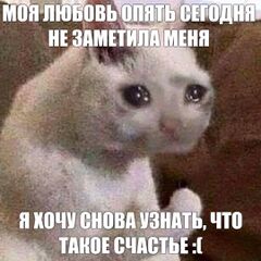 Плачущий кот meme #4
