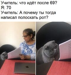 Женщина, показывающая документы серому коту meme #3