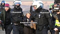 Грета Тунберг арестована в Германии meme #1
