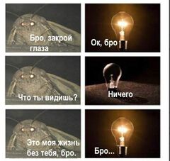 Мотылёк с лампой meme #3
