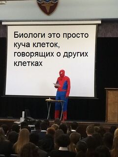 Презентация Человека-Паука meme #4
