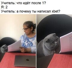 Женщина, показывающая документы серому коту meme #1