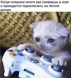 Грустный кот-геймер meme #3