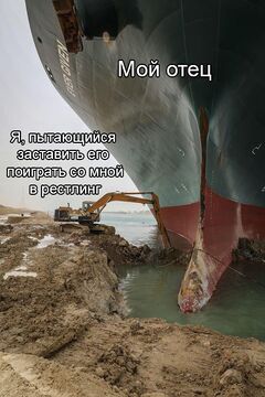 Экскаватор выкапывает судно из Суэцкого канала meme #3