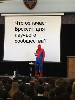 Презентация Человека-Паука meme #2