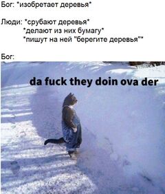 Кот, стоящий в снегу meme #1