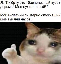 Плачущий кот с пальцем вверх meme #2
