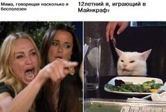 Женщина, указывающая на кошку meme #3