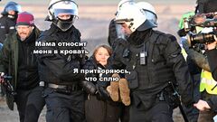 Грета Тунберг арестована в Германии meme #4