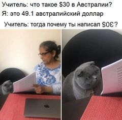Женщина, показывающая документы серому коту meme #4