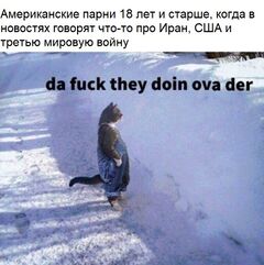 Кот, стоящий в снегу meme #3
