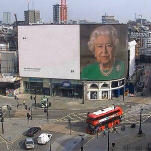 Королева Елизавета на билборде: пустой шаблон мема