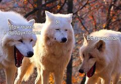 Смеющиеся волки meme #3