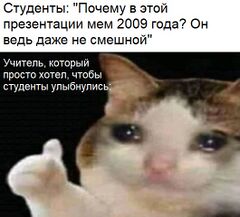 Плачущий кот с пальцем вверх meme #4