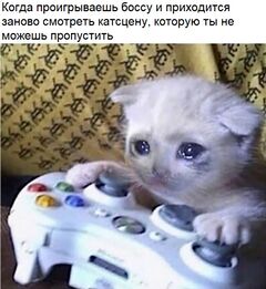 Грустный кот-геймер meme #1