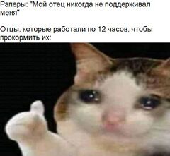 Плачущий кот с пальцем вверх meme #3